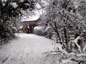 Willow Brook Farm in the snow