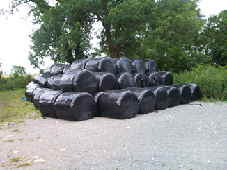 Willow Brook Silage Bales